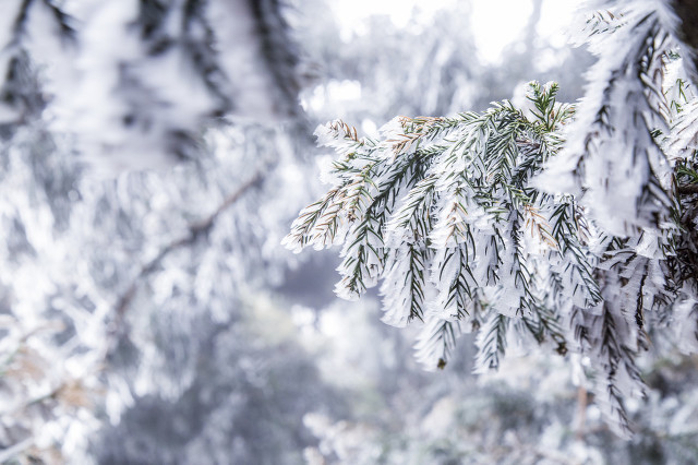 下雪的有意境的短句子 发朋友圈下雪高端句子