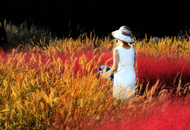 关于婚姻的说说 关于婚姻的经典语录