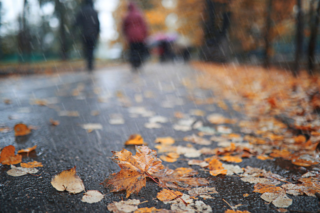 下雨心情说说感悟生活 形容下雨天的心情短语