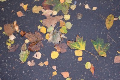 ​下雨天的心情说说伤感 下雨天心情低落的说说